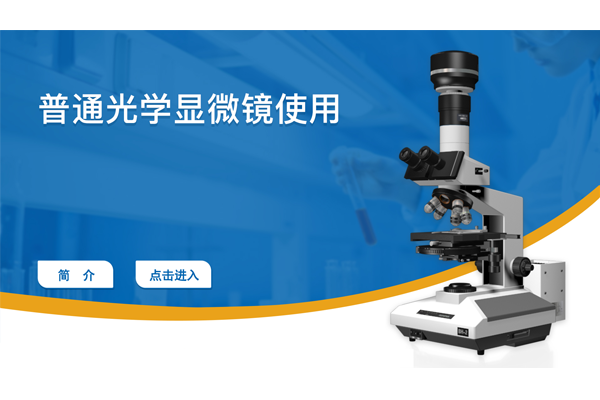 普通光学显微镜实操及考核虚拟仿真软件